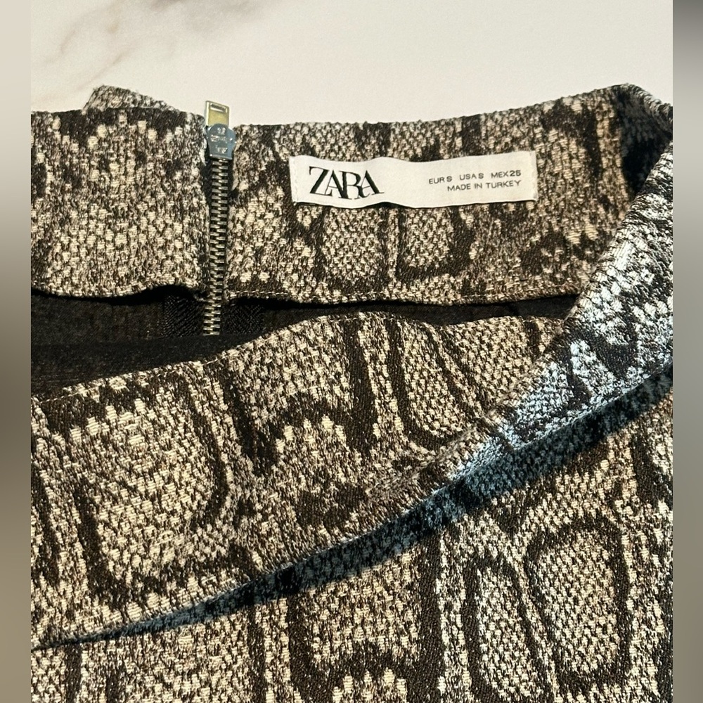 Zara Snake Skin Skirt